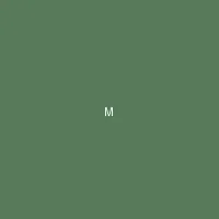 墨夜 (Midnight Ink) - 禁漫天堂 创作者头像